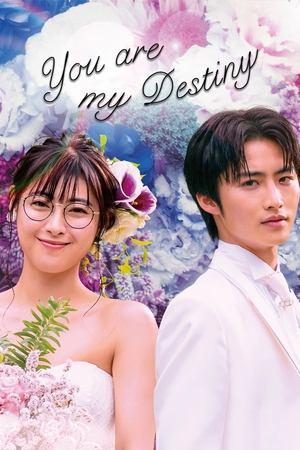 You Are My Destiny streaming