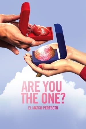 Are You the One? El match perfecto streaming