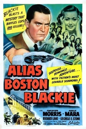 Alias Boston Blackie streaming