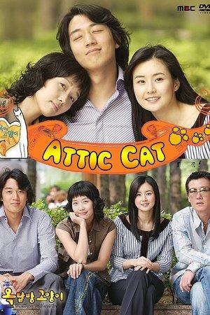 Attic Cat streaming