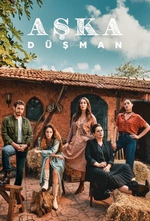 Aşka Düşman streaming