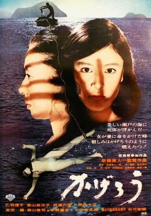 Heat Wave Island streaming