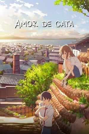Amor de gata streaming
