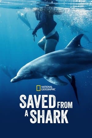 Saved From a Shark streaming