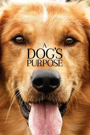 A Dog's Purpose streaming