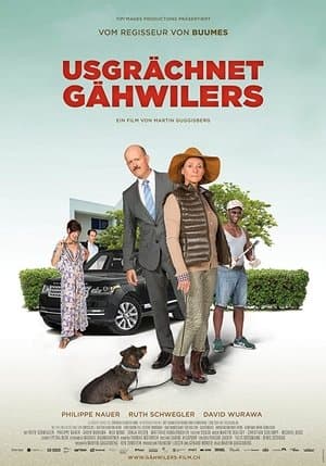 Meet The Gähwilers streaming