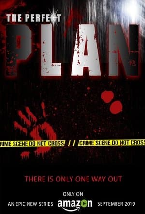 The Perfect Plan streaming