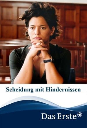 Scheidung mit Hindernissen streaming