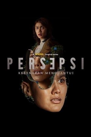 Persepsi streaming