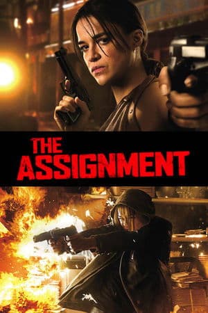 The Assignment streaming