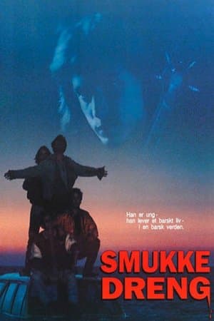 Smukke Dreng streaming