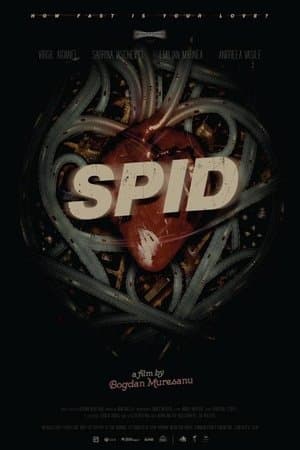SPID streaming