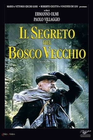 Il segreto del bosco vecchio streaming