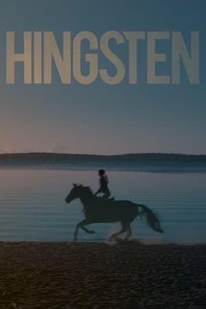 Stallion streaming