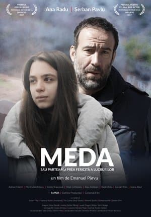 Meda ou Le moins bon côté des choses streaming