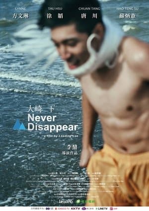Never Disappear streaming