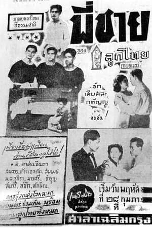 พี่ชาย streaming