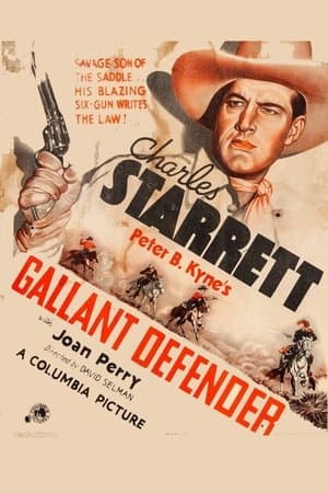 Gallant Defender streaming