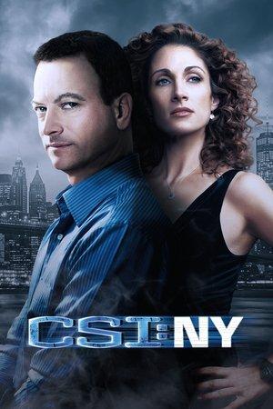CSI: NY streaming