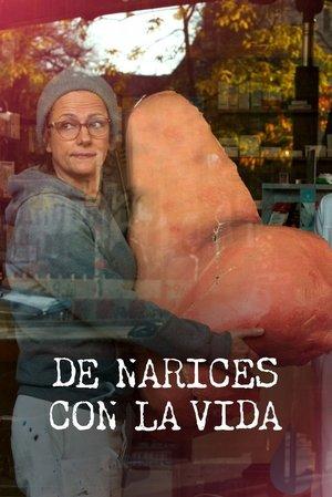De narices con la vida streaming