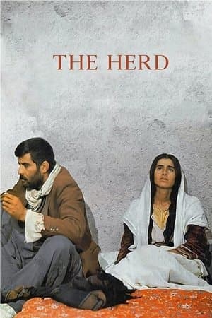 The Herd streaming