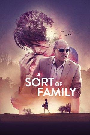 A Sort of Family streaming