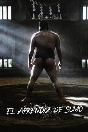 El aprendiz de sumo streaming