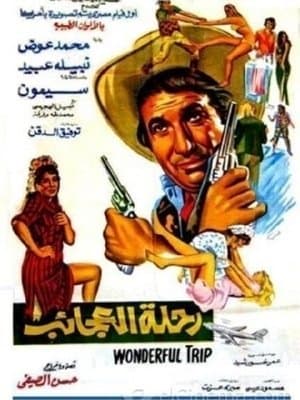 Wonderful Trip streaming
