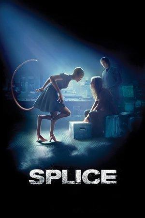 Splice streaming