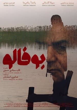 بوفالو streaming