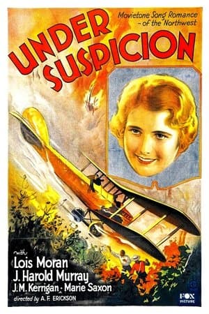 Under Suspicion streaming