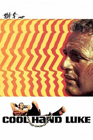 Cool Hand Luke streaming