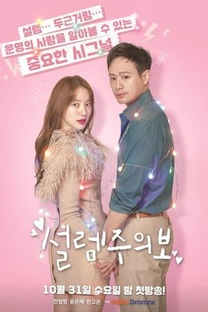 설렘주의보 streaming