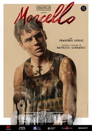 Marcello streaming