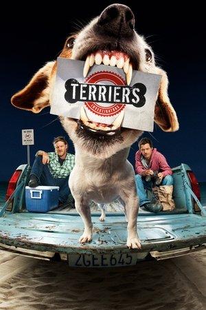 Terriers streaming