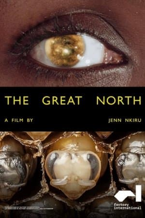 The Great North streaming