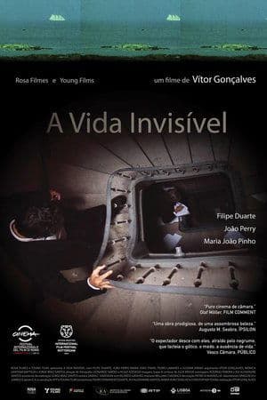 A Vida Invisível streaming