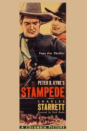 Stampede streaming