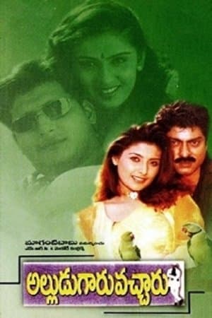 అల్లుడుగారు వచ్చారు streaming