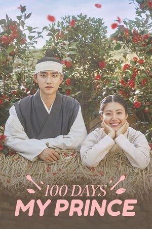 100 Days My Prince streaming