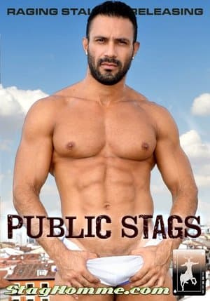Public Stags streaming