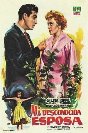 Mi desconocida esposa streaming