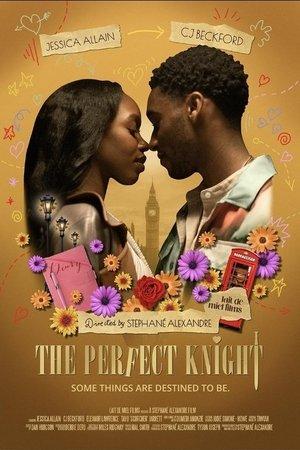 The Perfect Knight streaming
