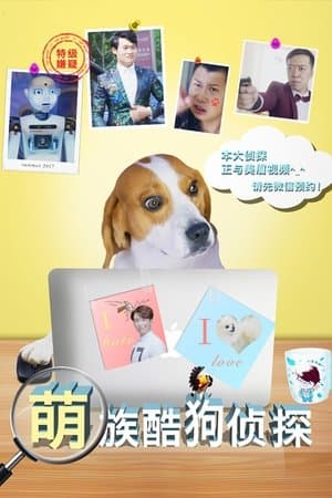 Cool Dog Detective streaming
