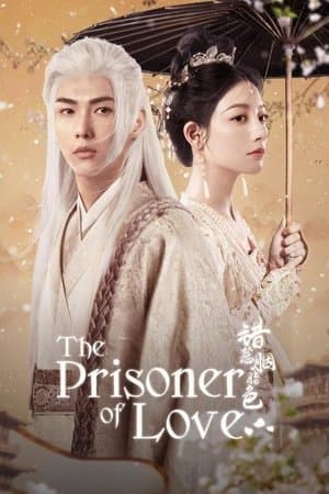The Prisoner of Love streaming