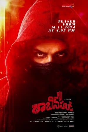రాబిన్‌హుడ్ streaming