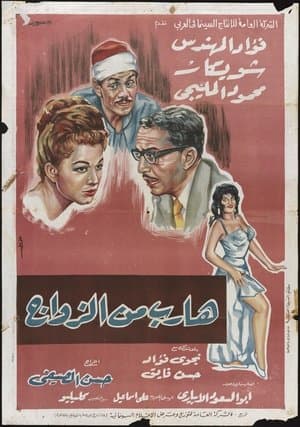 هارب من الزواج streaming