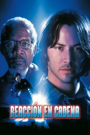 Reacción en cadena streaming