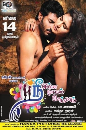 Nee Enna Maayam Seidhai streaming