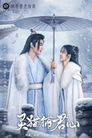灵猫捕君心 streaming